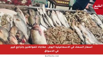 أسعار السمك في الإسماعيلية اليوم.. مفاجأة للمواطنين وتراجع كبير في الأسواق